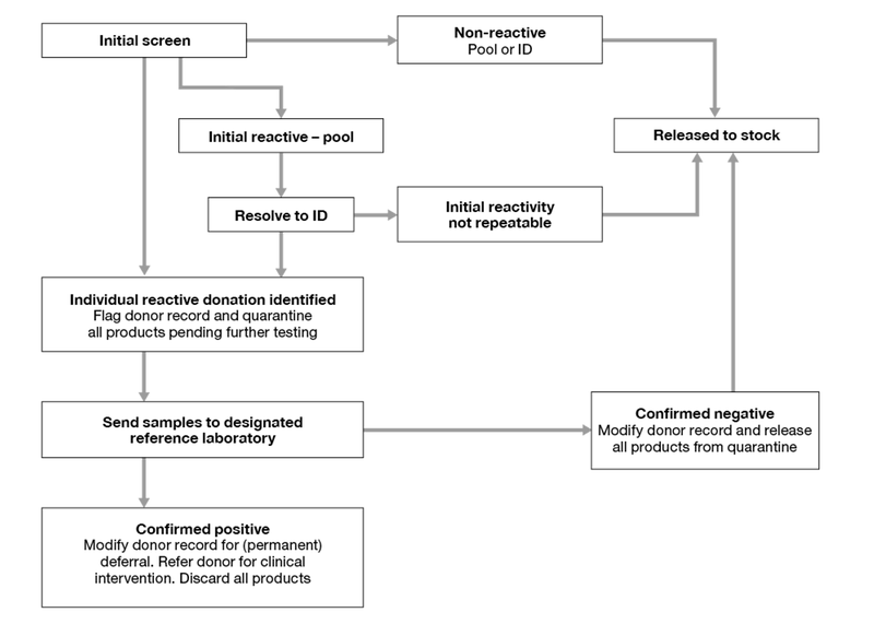 A flow chart showing the process for molecular screening of tissue and cell donations Following the flow chart is a description of the process.